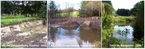 Renaturierung einer Fischteichanlage 2008/2009 (Fotos/Montage: Kreis Paderborn - Umweltamt)